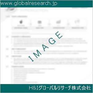 グローバルリサーチ調査資料のイメージ